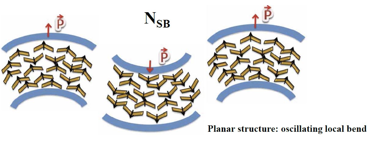 typowe nematyki jednoosiowe w symulacjach