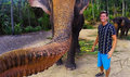 Słoń skradł turyście aparat i zrobił selfie!